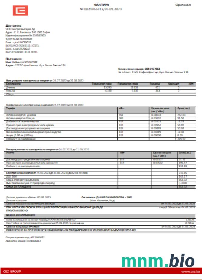Bulgary electricity business bill
